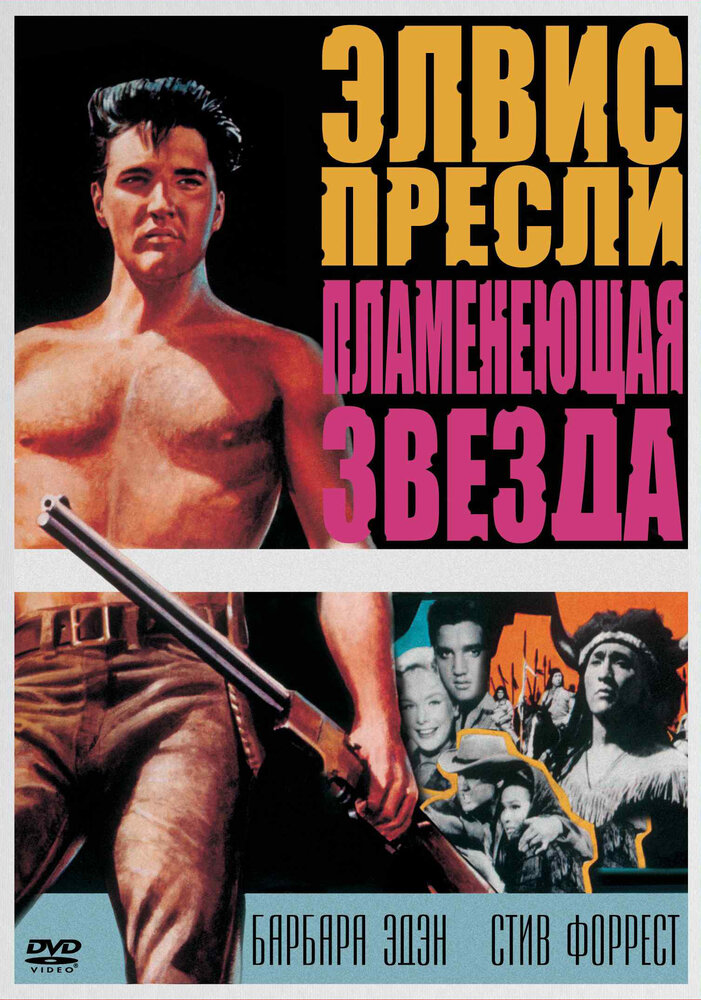 Пламенеющая звезда (1960)